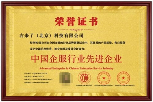 右來了科技榮獲“中國企服行業先進企業”稱號，彰顯信息系統集成服務卓越實力